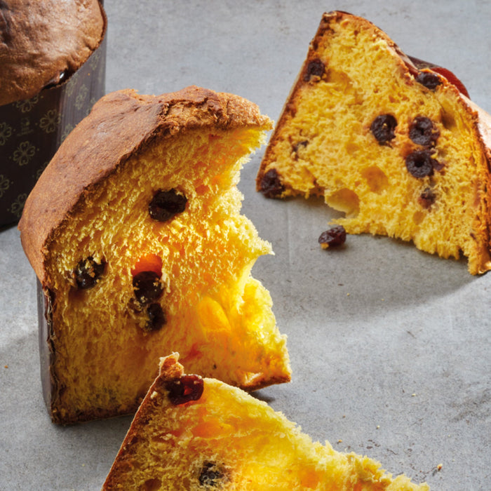 Pasticceria Filippi - Panettone con Amarene kg 1