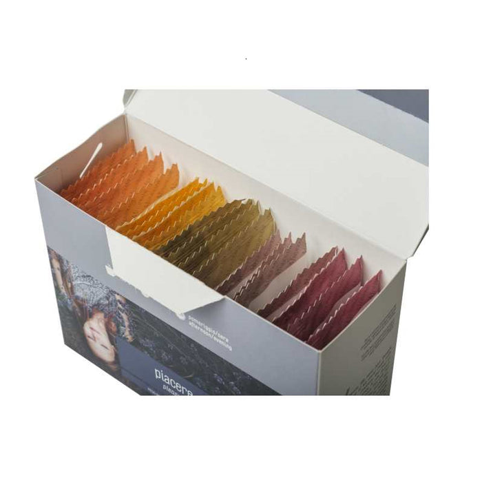 Meridiani - Piacere - Assortimento di Infusi alla frutta 20 filtri